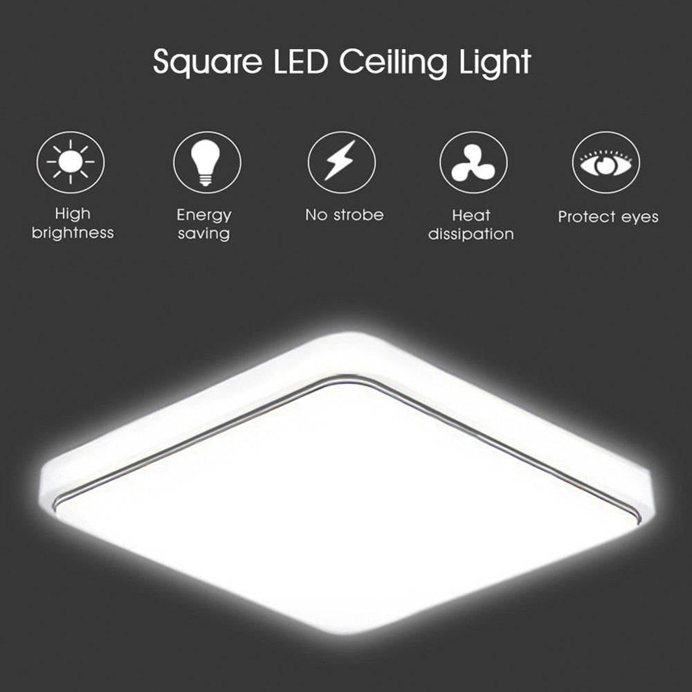 12W Cold White Light Ceiling Lamp