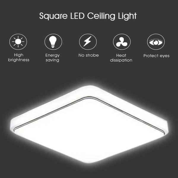 12W Cold White Light Ceiling Lamp