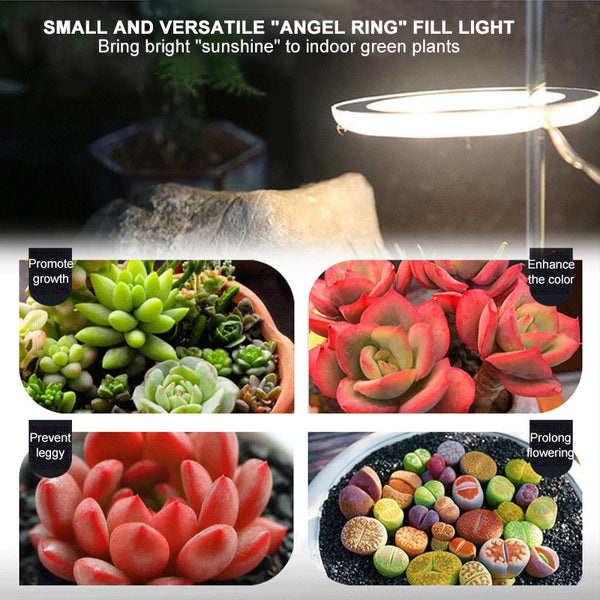 Multifunctional Full Spectrum Lamp