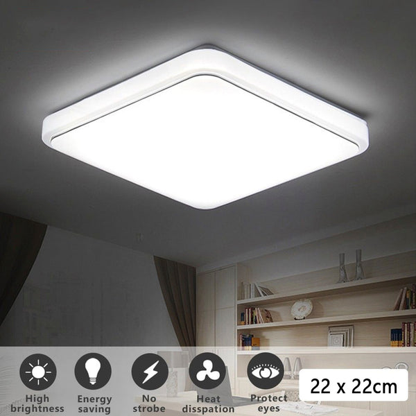 12W Cold White Light Ceiling Lamp