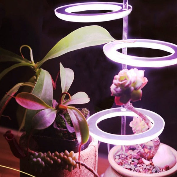 Multifunctional Full Spectrum Lamp
