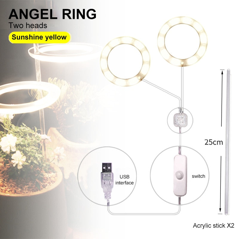Multifunctional Full Spectrum Lamp
