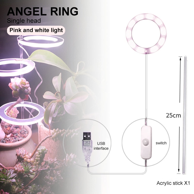 Multifunctional Full Spectrum Lamp