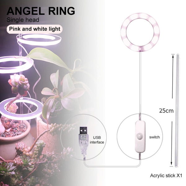 Multifunctional Full Spectrum Lamp