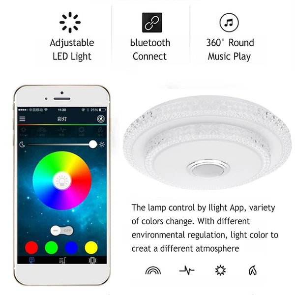 Smart Ceiling Light