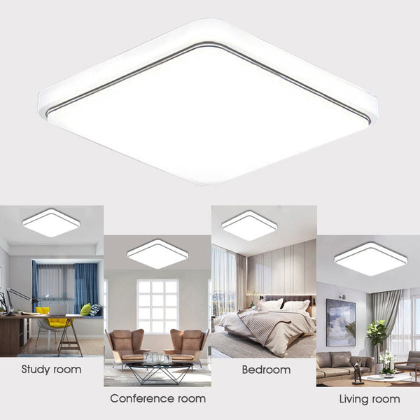 12W Cold White Light Ceiling Lamp