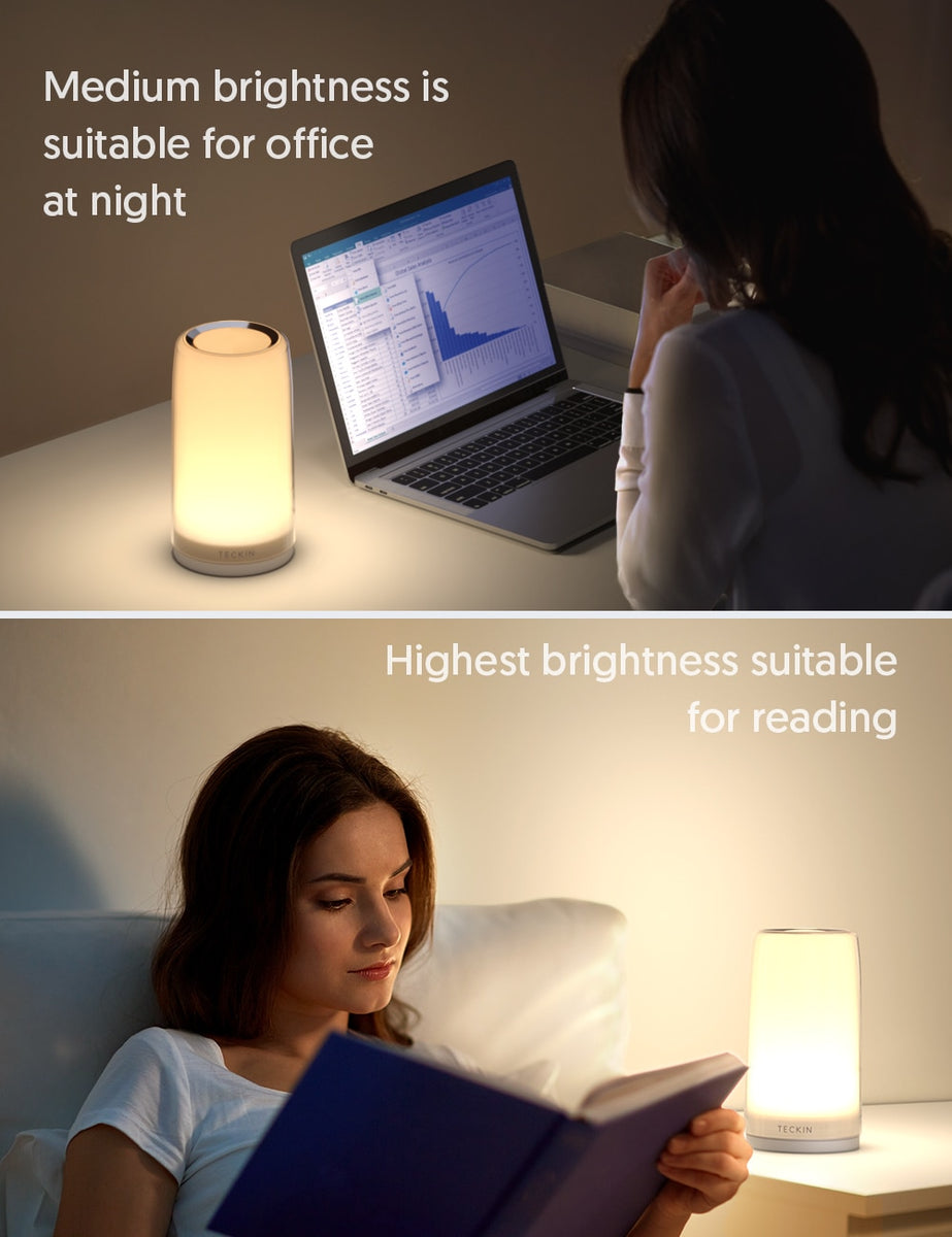 Classic Dimmable Lamp