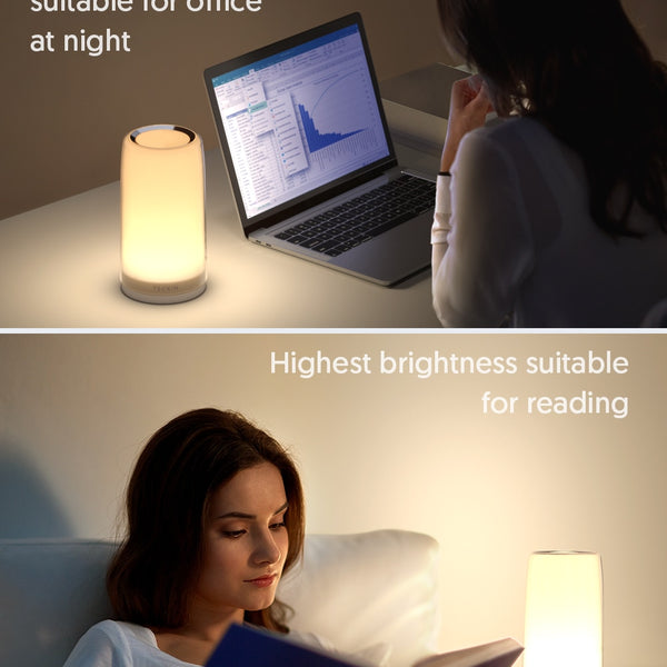 Classic Dimmable Lamp