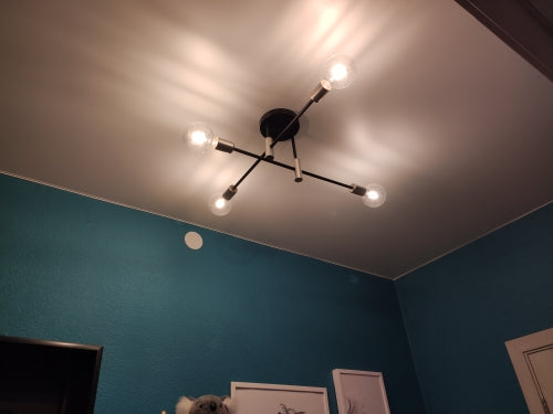 Abstract Ceiling Light