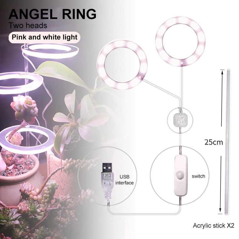 Multifunctional Full Spectrum Lamp