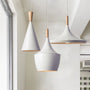 Nordic Vintage Ceiling Lamp
