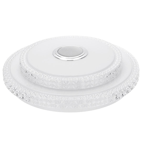 Smart Ceiling Light
