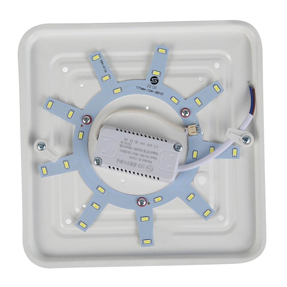 12W Cold White Light Ceiling Lamp