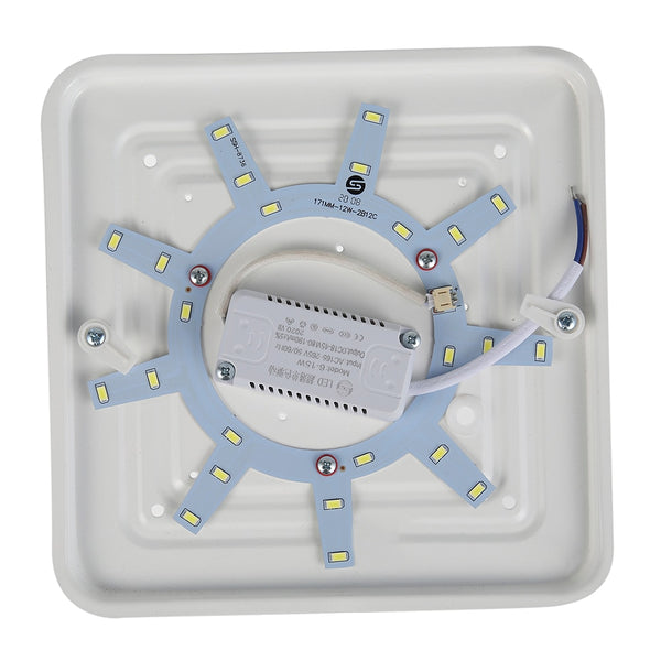 12W Cold White Light Ceiling Lamp