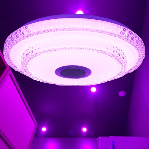Smart Ceiling Light