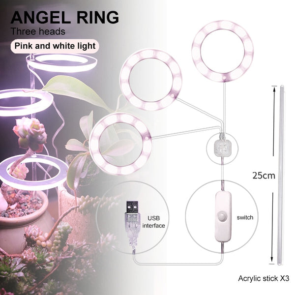 Multifunctional Full Spectrum Lamp