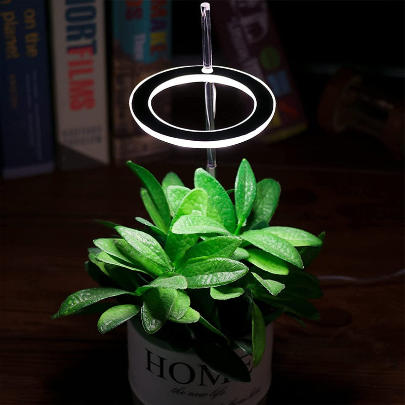 Multifunctional Full Spectrum Lamp