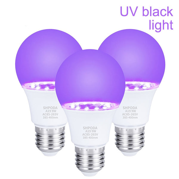 UV Round Bulb